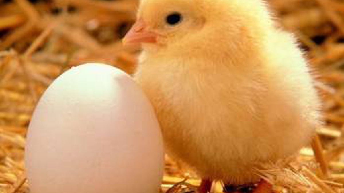  ������ ����� ����� �������� ������ �������� ���� ������ 