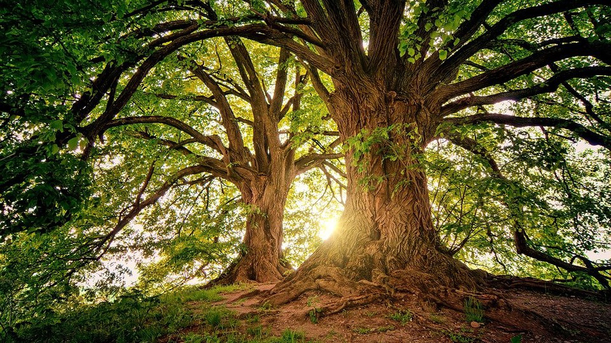  �������� ��������� ������� ������� ������� ���� 