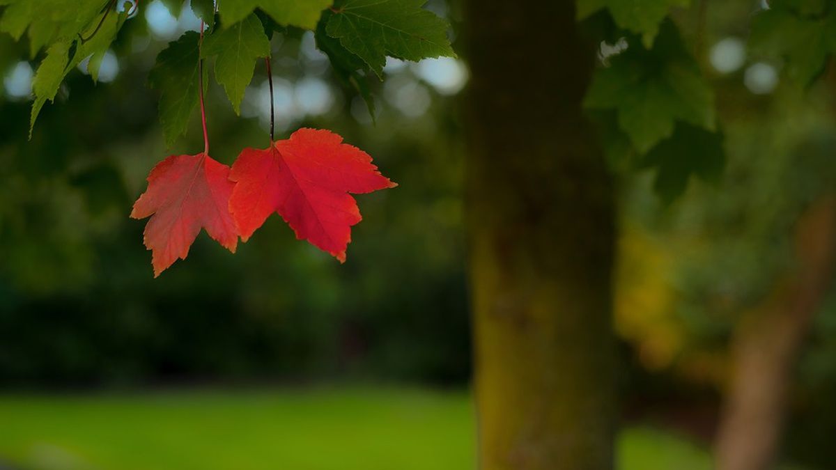  ��������� ��� �������� ����� ��� ���� 