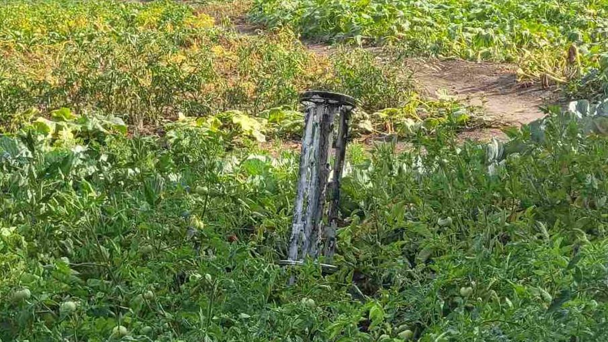  ��������� ������ ����� ������� ������ �������� ��� ������ 