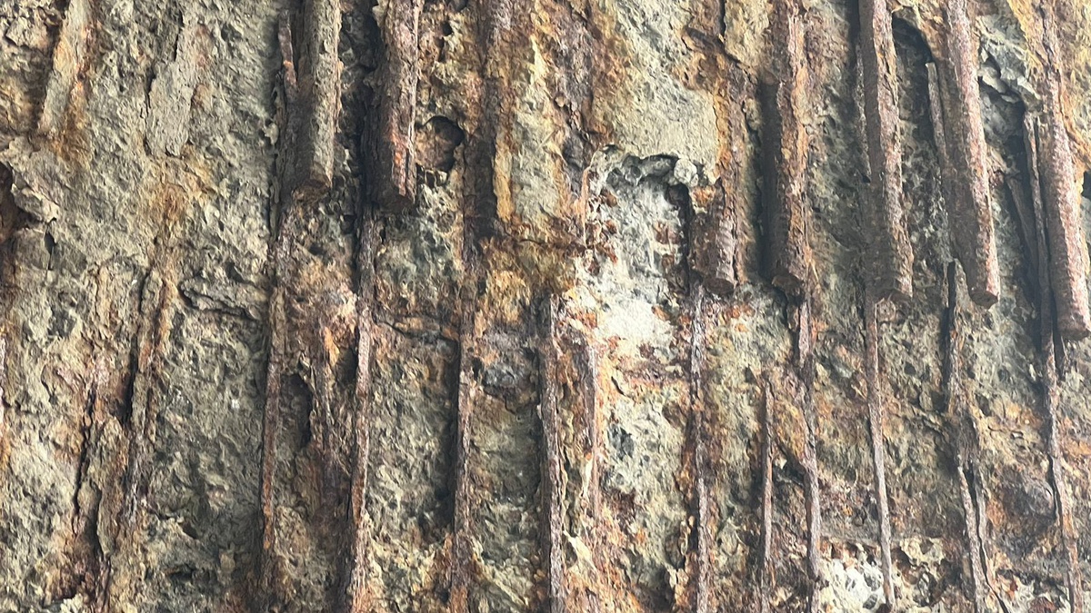  ������ ��������� ����� ����������� ����� ������� �������� 