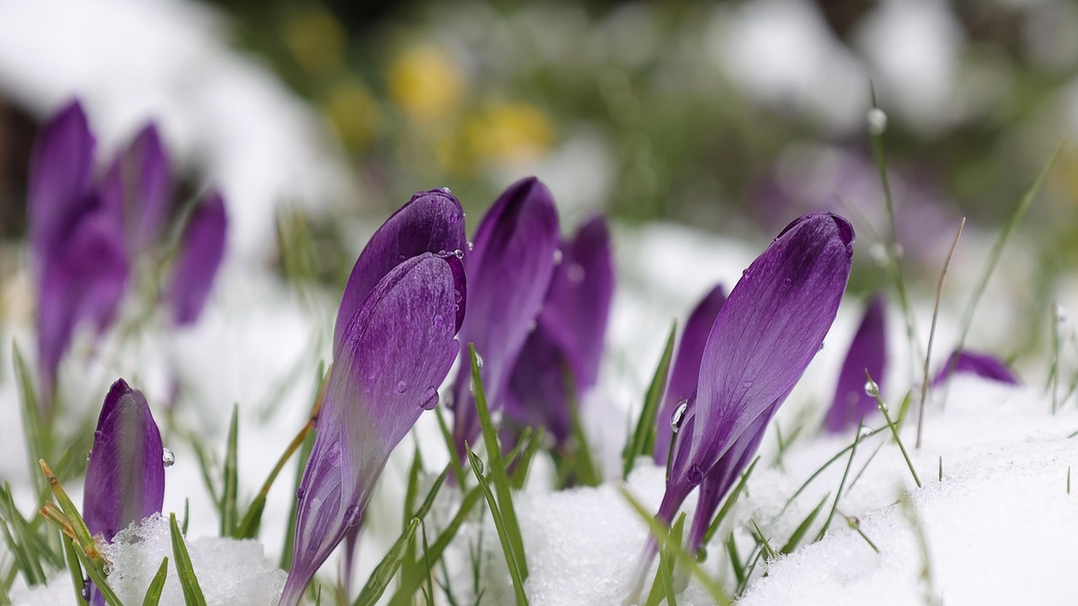 ����: interfax.com.ua