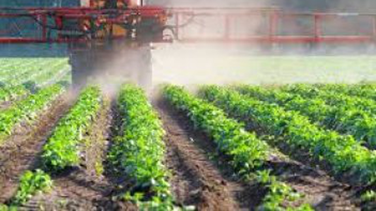 Poland's fertilizer exports to Ukraine increasing due to gas shortages, damage to Ukrainian plants