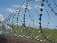 Польські прикордонники повідомляють про напад групи нелегальних мігрантів на кордоні з Білоруссю