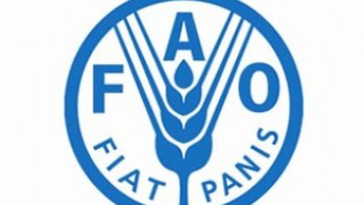 Світові ціни на продовольство зростають другий місяць на тлі подорожчання енергоносіїв - ФАО