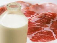 Restrictions on meat, dairy products supplies to Kazakhstan lifted for eight Ukrainian companies – ministry