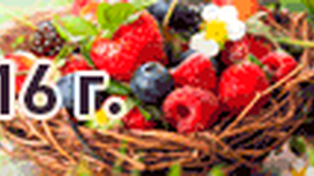 Технологии и Инновации: от земли до готового продукта