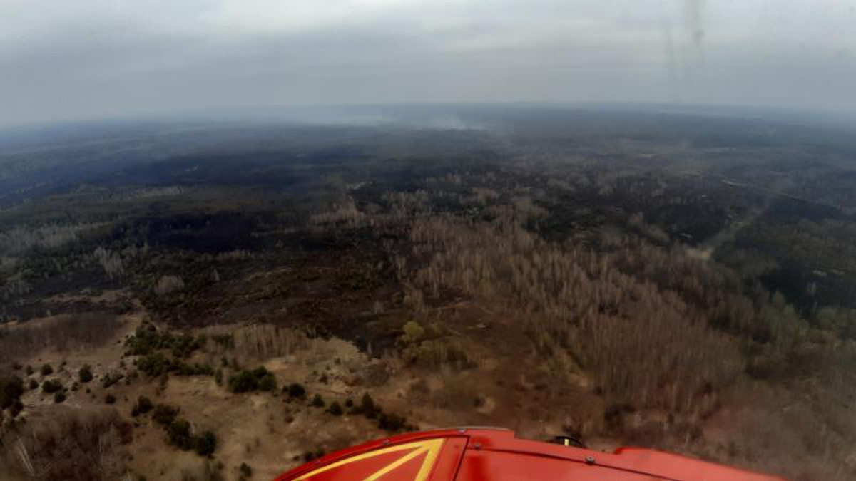 У Чорнобильській зоні нові займання лісу через атаки російських дронів, радіаційний фон не перевищує контрольні рівні – ДАЗВ