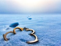 Комитет по свободе слова подготовит постановление об обращении Рады к мировому сообществу для освобождения украинских журналистов из российского плена