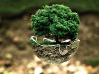 Україна отримала офіційний статус спостерігача в Севільському процесі