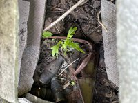 У Запоріжжі поліцейські виявили схрон із боєприпасами