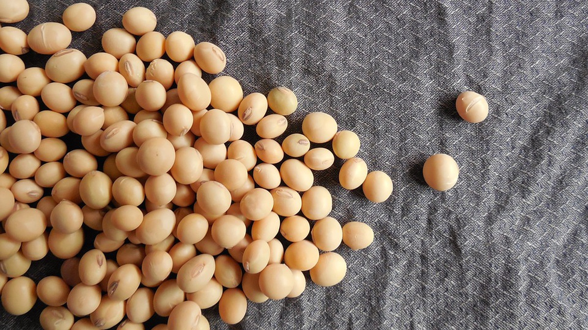 Ukrainian soybean prices hit highest since early 2024 amid Middle East war – analysts