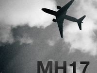 Следствие по делу о сбитом МН17 приостановлено