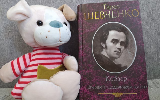Майже половина громад не виділяла коштів на поповнення бібліотечних фондів з 2023 року - опитування УІК