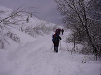 ДСНС попереджає про сильний сніг та вітер у Карпатах у неділю