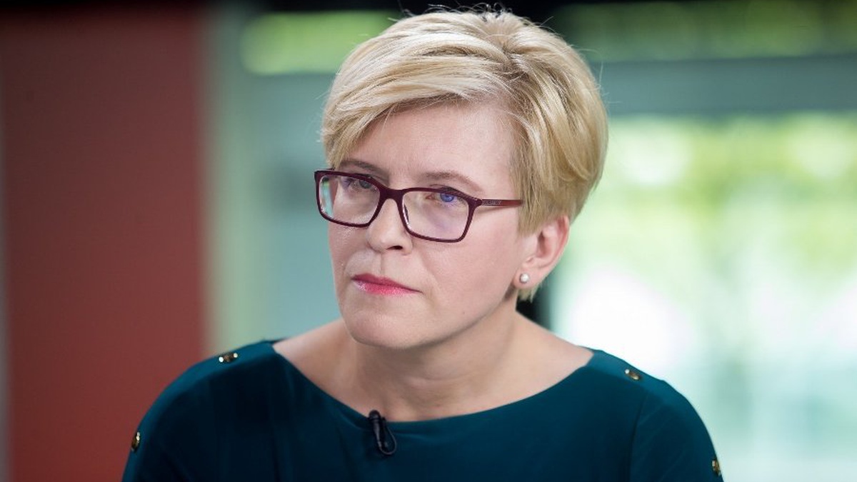 Ukrainian grain shipments via Baltic ports to require investment in port infrastructure – Lithuanian PM