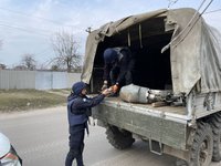 Пиротехники ГСЧС за сутки обезвредили 115 взрывоопасных предметов, обследовали 34 гектара территории