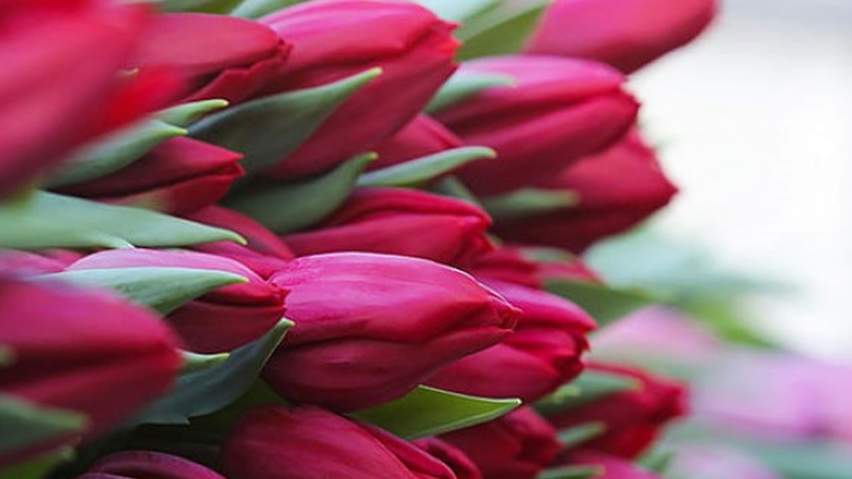 Советы по оформлению осенних цветочных композиций от Flowers.ua