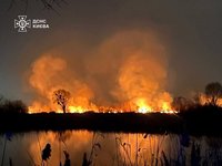 Правоохоронці з'ясовують причини пожежі на Осокорківських озерах у Києві, розглядають і версію підпалу - голова військової адміністрації