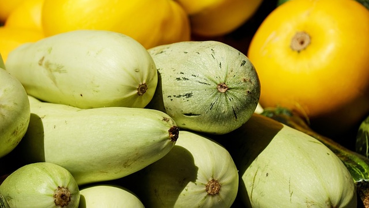 Програма розвитку овочівництва та ягідництва з бюджетом $4 млн за підтримки ФАО та Норвегії стартує на Дніпропетровщині