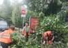 В Киеве от непогоды пострадали люди: пять человек, в том числе 13-летняя девочка, госпитализированы