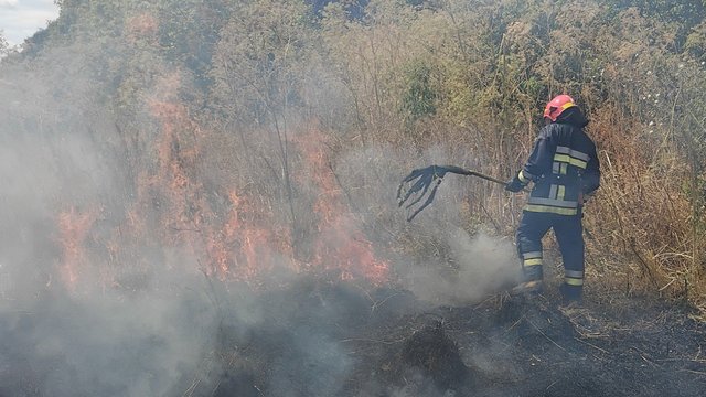 В Одесской области горел сухостой на площади 18 000 кв м