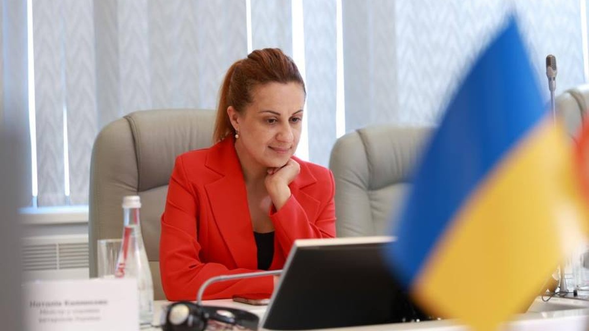 Калмикова анонсувала оплату лікування рубців та шрамів і проєкт щодо лікування залежностей у ветеранів у 2026р.