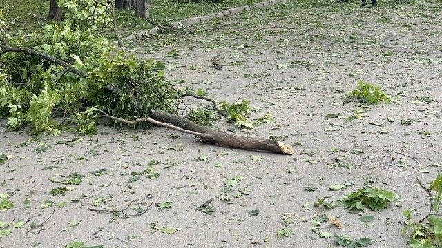 Вражеский БпЛА попал в один из скверов Сум, 100 абонентов остались без света