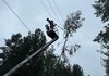 "ДТЭК" восстановил электроснабжение для более 350 тыс. абонентов в Киевской обл. после непогоды