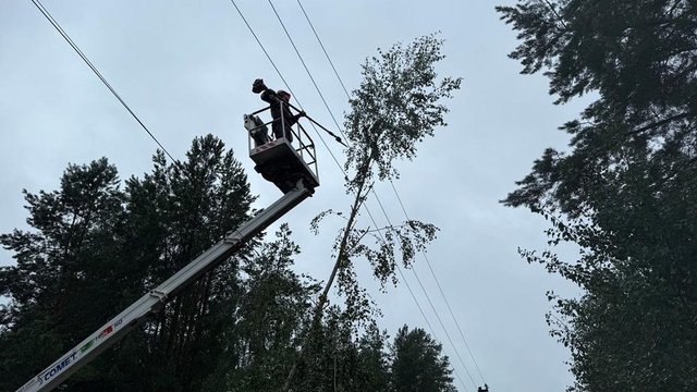 "ДТЕК" відновив електропостачання для понад 350 тис. абонентів у Київській обл. після негоди