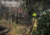 На Николаевщине пожар в экосистеме перекинулся на жилые дома, пылает около 20 га - ГСЧС