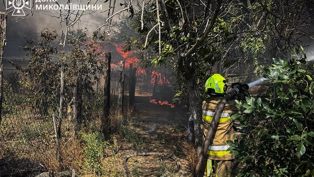 На Миколаївщині пожежа в екосистемі перекинулася на житлові будинки, палає близько 20 га – ДСНС