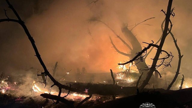 Уночі РФ дронами масовано атакувала Харківщину, виникло кілька пожеж, зокрема дитсадка