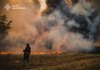 Масштабный лесной пожар ликвидирован в Донецкой области - ГСЧС