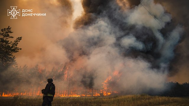 Масштабну лісову пожежу ліквідовано на Донеччині - ДСНС