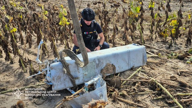 Залишки ракети з бойовою частиною знайшли на соняшниковому полі на Київщині - ДСНС