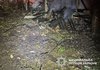 Одна людина загинула й 8 постраждали за добу внаслідок ворожих ударів у Чернігівській області