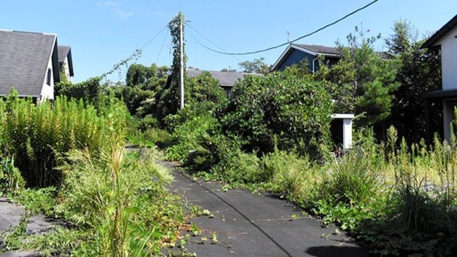 В Японии арестовали украинского ютубера из-за стрима проникновения в дом в зоне "Фукусимы-1"