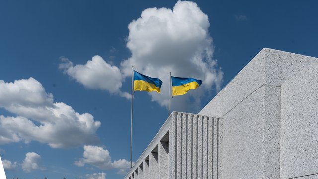 Суд подтвердил законность решения правительства об удалении деревьев и кустарников во время строительства НВМК