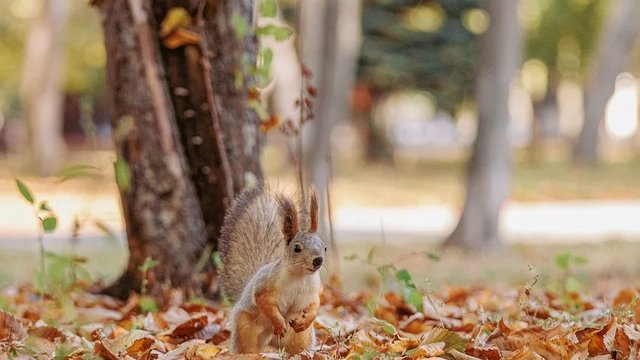 14 жовтня: Яке сьогодні свято, пам’ятні події та цікаві факти