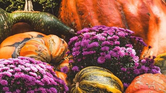 В Украине в пятницу небольшие дожди, в субботу - преимущественно без осадков