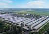 KSG Agro розпочав новий етап програми працевлаштування ВПО на свинокомплексі на Дніпропетровщині