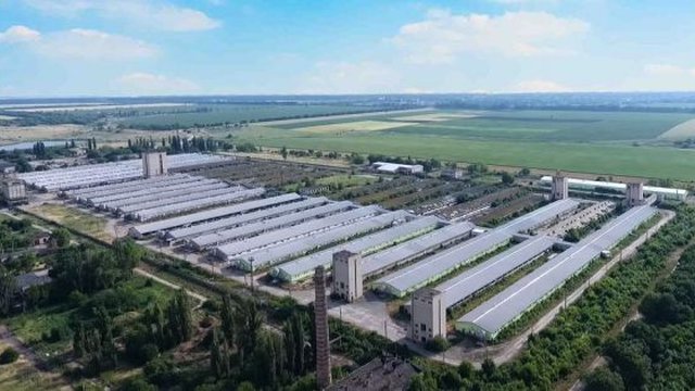 KSG Agro розпочав новий етап програми працевлаштування ВПО на свинокомплексі на Дніпропетровщині