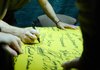 Зеленський у День української писемності та мови: дякую всім, хто продовжує навчати мови – попри все і де б вони не були