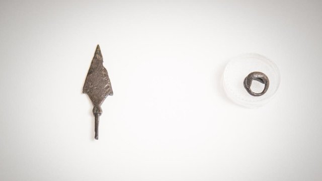 Australia returns looted Ukrainian artifacts to Kyiv