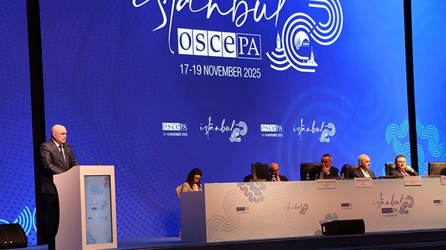 ПА ОБСЕ присоединилась к Международной коалиции за возвращение украинских детей