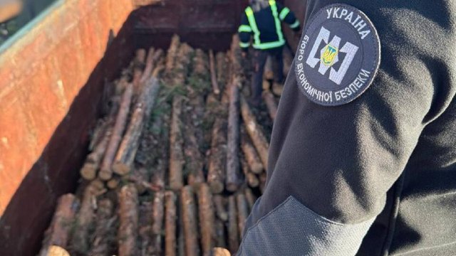 Детінізація лісової галузі: БЕБ розслідує схему контрабанди ділової деревини