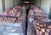 МХП в сезоне-2025 выращивал картофель на 110 га и получил урожайность 39 тонн/га