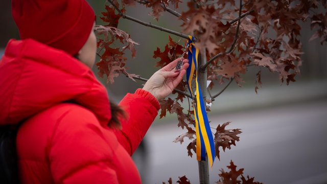 На НВМК высадили часть будущей Аллеи дубов в честь павших воинов - Минветеранов