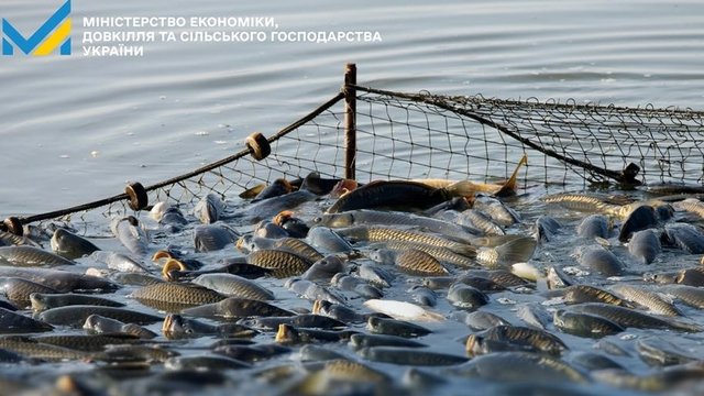 Правительство внедрило электронное декларирование права на промышленное рыболовство